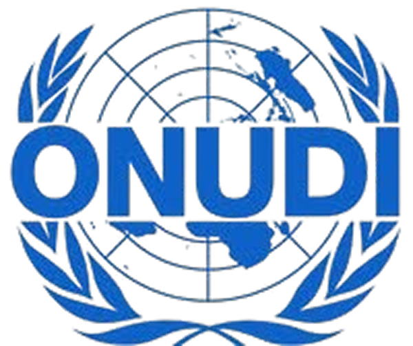 ONUDI